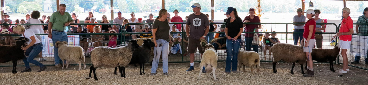 2019 Lambertville Sheep and Fiber Festival