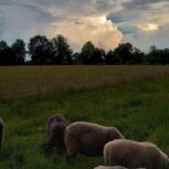 Photo of Anita Duscher Photo of Anita Duscher