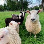 Photo of Molly Buis Photo of Molly Buis