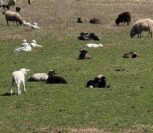 Photo of Rebecca Gunther Photo of Rebecca Gunther